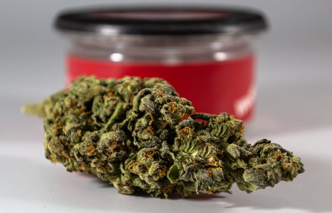 Image of Buy THCA Flower: What You Need to Know Before You Shop