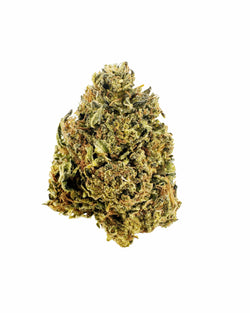 Enriched Hemp Cultivations