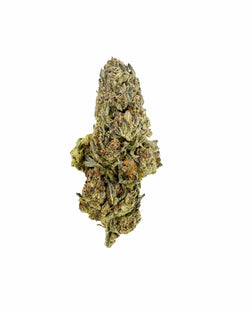 Enriched Hemp Cultivations