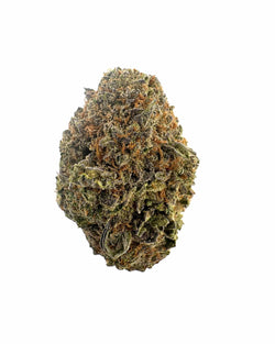 Enriched Hemp Cultivations