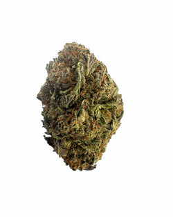 Enriched Hemp Cultivations