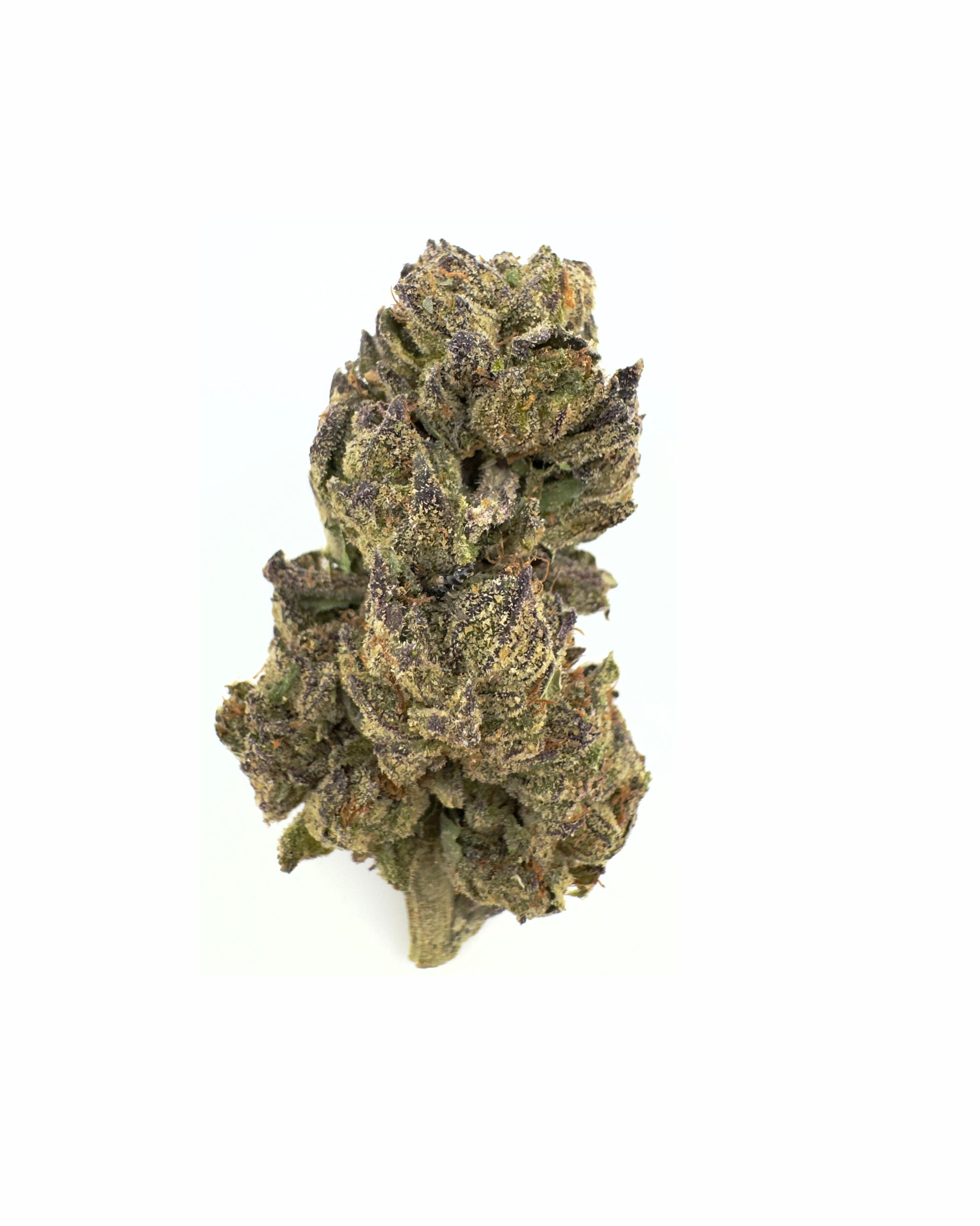 Enriched Hemp Cultivations