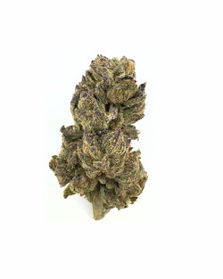 Enriched Hemp Cultivations