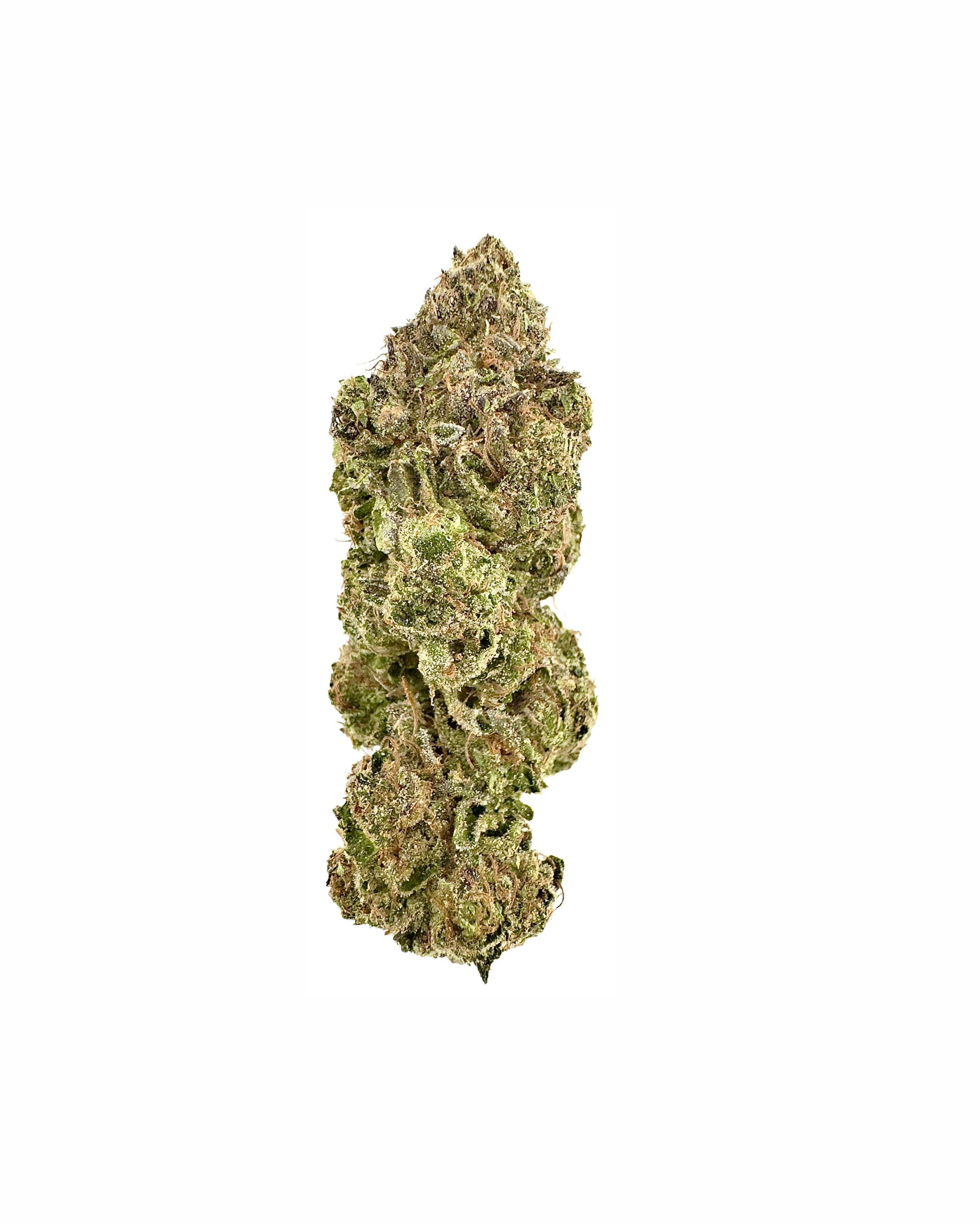Enriched Hemp Cultivations