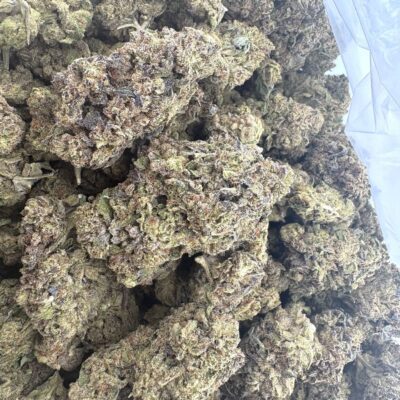 AA Light Assists Chicago Runtz THCA Hemp Flower