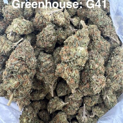 Greenhouse G41 THCA Hemp Flower