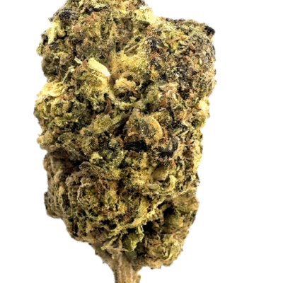 AA Light Assists Italian Ice THCA Hemp Flower