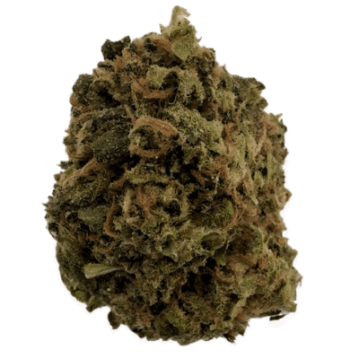 AA Light Assists Government Oasis THCA Hemp Flower