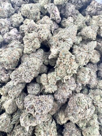 Indoor Sour Belts THCA Hemp Flower