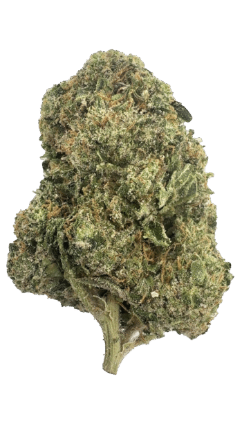 Indoor Oak Milk Latte THCA Hemp Flower