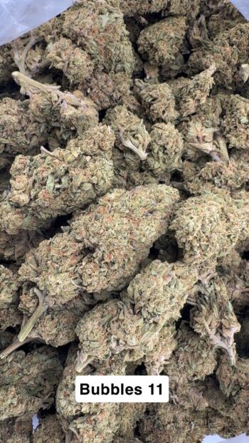 Greenhouse Bubblez 11 THCA Hemp Flower