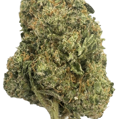 Indoor Oak Milk Latte THCA Hemp Flower