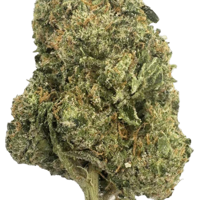 Indoor Oak Milk Latte THCA Hemp Flower