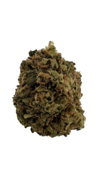 AA Light Assists Government Oasis THCA Hemp Flower