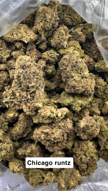 AA Light Assist Chicago Runtz THCA Hemp Flower