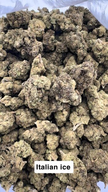 AA Light Assist Italian Ice THCA Hemp Flower