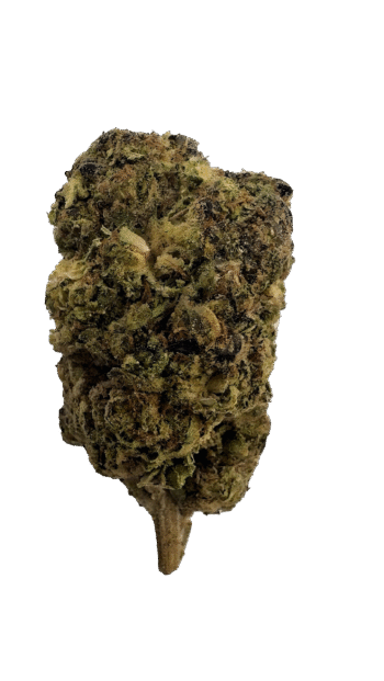 AA Light Assists Italian Ice THCA Hemp Flower