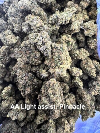 AA Light Assist Pinnacle THCA Hemp Flower