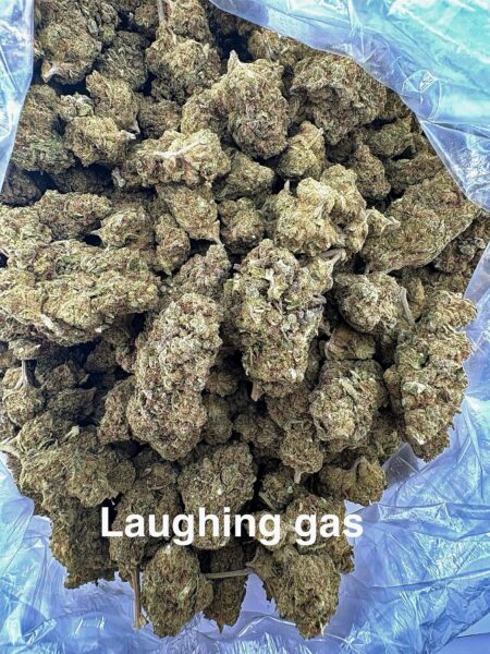 Greenhouse Laughing Gas THCA Hemp Flower