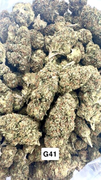 Greenhouse Gelato 41 THCA Hemp Flower