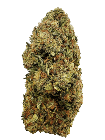 Greenhouse G41 THCA Hemp Flower
