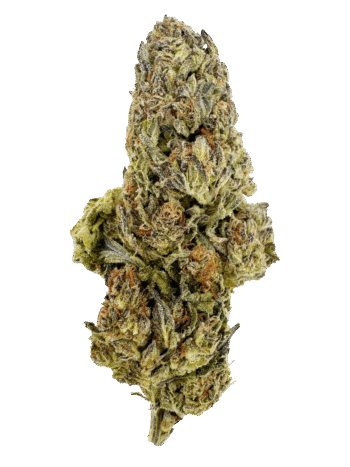 Greenhouse Gushmintz THCA Hemp Flower